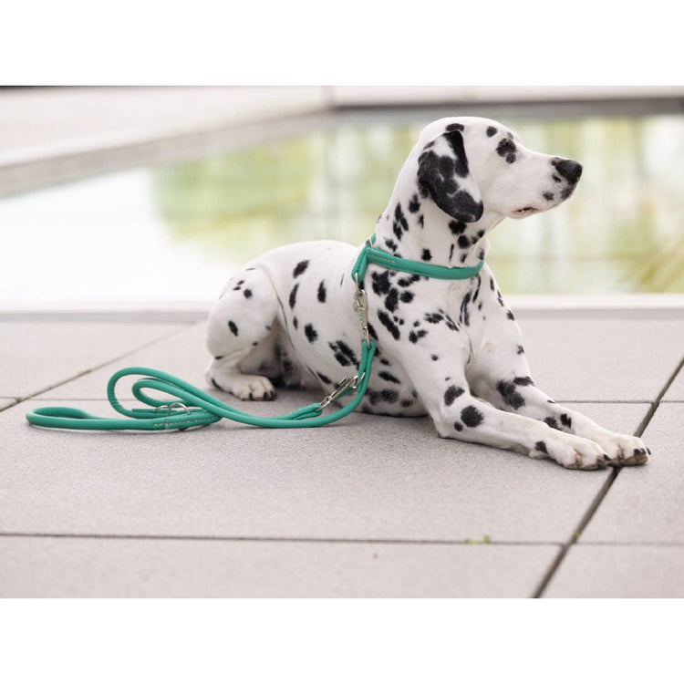 Dog Leash Leather Round-Stitched – Maul Ledermanufaktur
