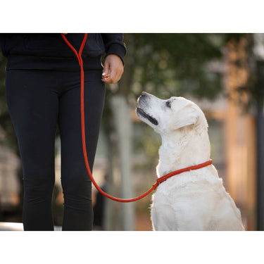 Hundkoppel läder Retriever 160 cm – Maul Ledermanufaktur