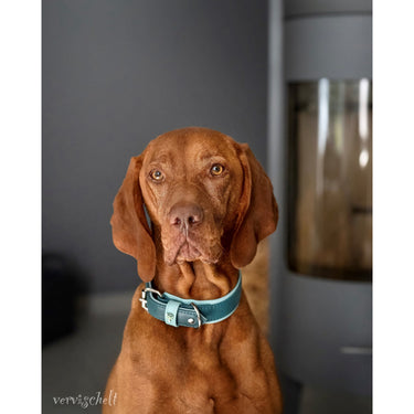 Hundhalsband läder Honolulu – Maul Ledermanufaktur