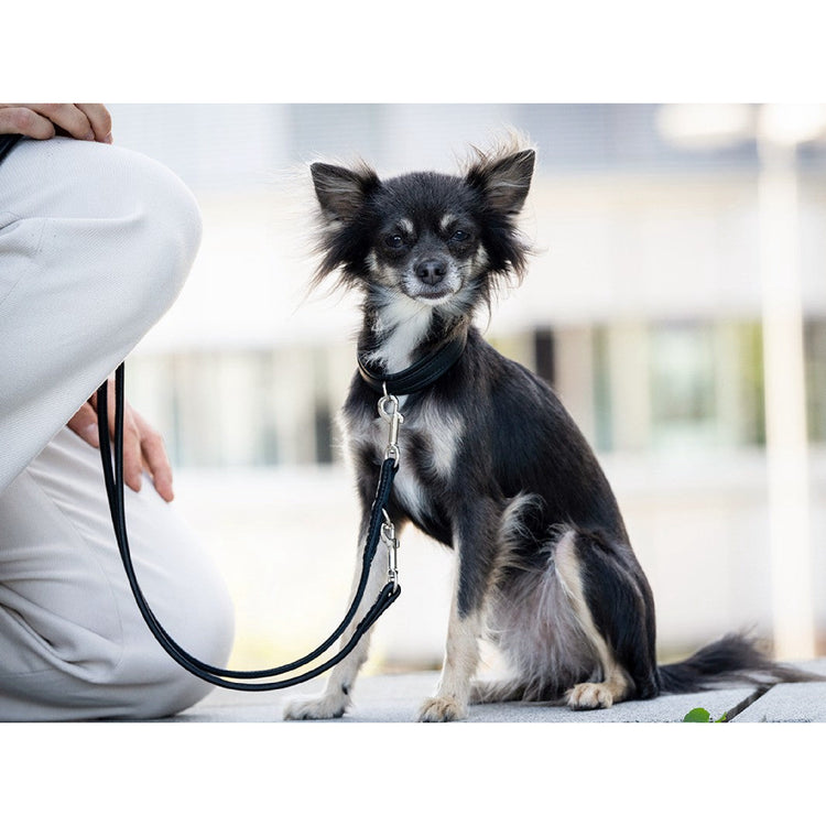 Hundkoppel läder Rundsytt 300 cm – Maul Ledermanufaktur