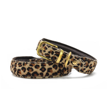 Hundhalsband läder Leopard – Maul Ledermanufaktur
