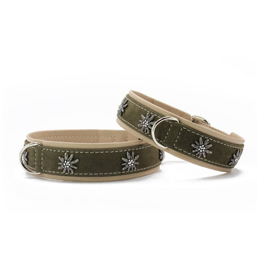 Hundhalsband läder Alpenblume – Exklusiv design i nubuckläder – Maul Ledermanufaktur