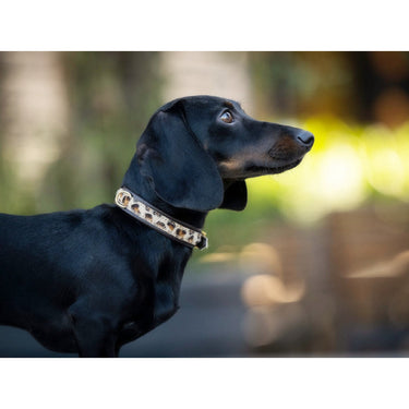 Hundhalsband läder Mini Afrika – Maul Ledermanufaktur
