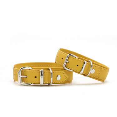 Hundhalsband läder Klassik Soft – Maul Ledermanufaktur