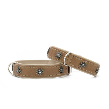 Hundhalsband läder Alpenruf – Maul Ledermanufaktur