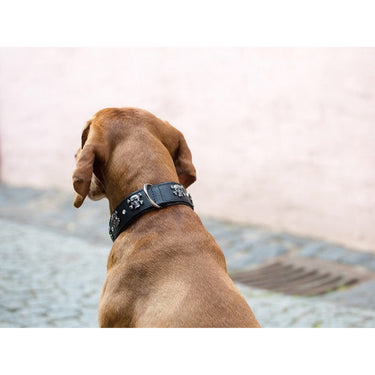 Hundhalsband läder Totenkopf – Maul Ledermanufaktur