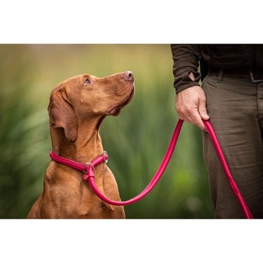 Hundkoppel läder Retriever 160 cm – Maul Ledermanufaktur