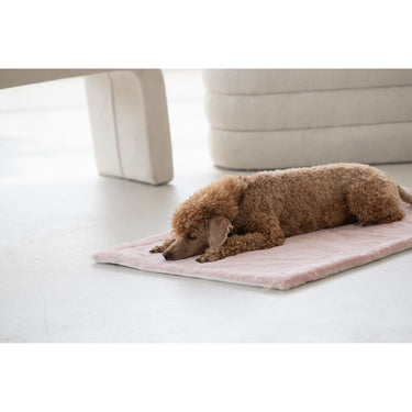 Hundfilt – Maul Ledermanufaktur