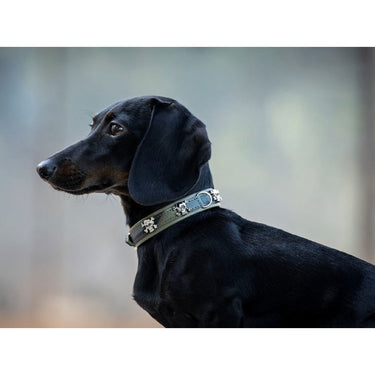 Hundhalsband läder Mini Wild Army – Maul Ledermanufaktur