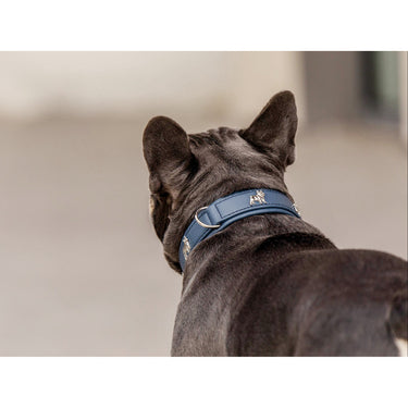 Hundhalsband läder – Maul Ledermanufaktur