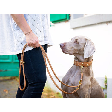 Hundkoppel läder Old English 200 cm – Maul Ledermanufaktur