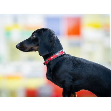 Hundhalsband läder Mini Herzilein – Nappaläder med Edelweiss – Maul Ledermanufaktur