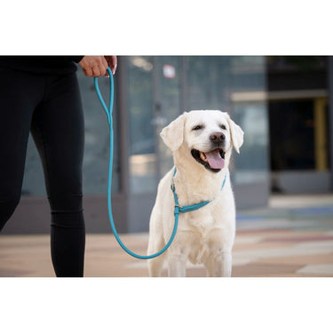 Hundkoppel läder Retriever 160 cm – Maul Ledermanufaktur