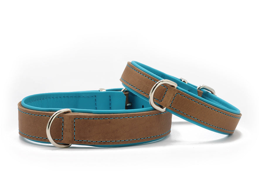 Hundhalsband läder Klassik Premium Mokka – Maul Ledermanufaktur - Petrol