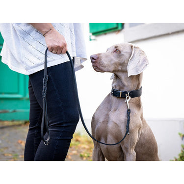 Hundkoppel läder Klassik 100 cm – Maul Ledermanufaktur
