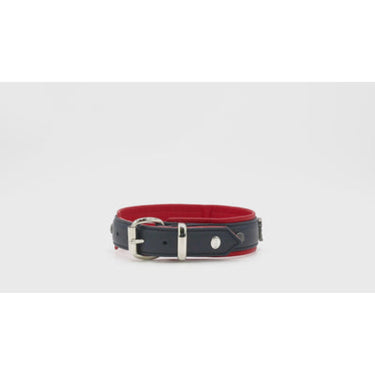 Hundhalsband läder Nordlicht – Maul Ledermanufaktur