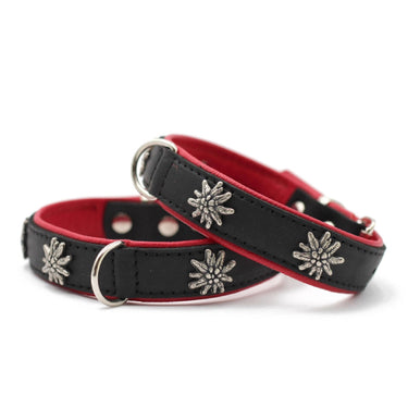 Hundhalsband läder Edelweiss – Maul Ledermanufaktur