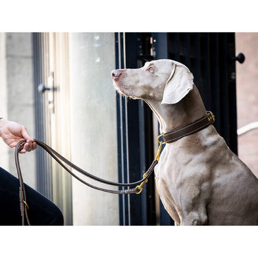 Hundhalsband läder Klassik Old English, Brunt – Maul Ledermanufaktur