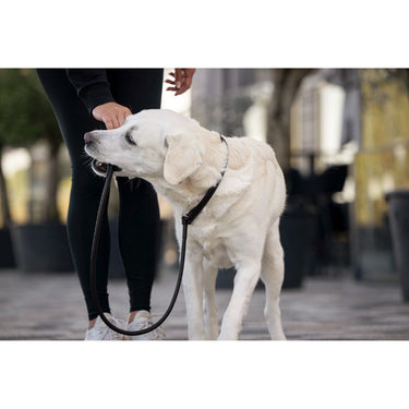 Hundkoppel läder Retriever 160 cm – Maul Ledermanufaktur