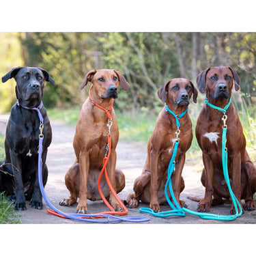 Hundkoppel läder Rundgenäht – Maul Ledermanufaktur
