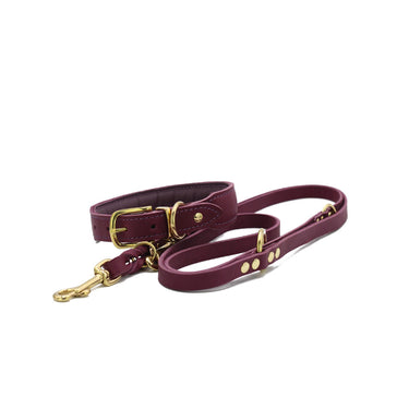 Hundhalsband läder Mono Pop 35 cm – Maul Ledermanufaktur