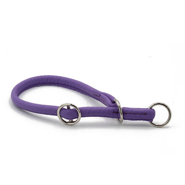 Hundhalsband läder Holi Color – Maul Ledermanufaktur