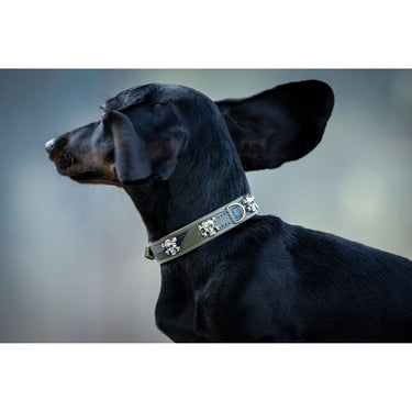Hundhalsband läder Mini Wild Army – Maul Ledermanufaktur