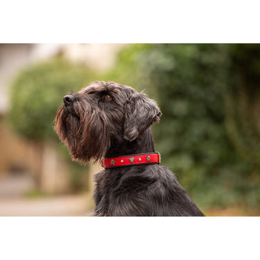 Hundhalsband läder Herzilein – Rött Nappaläder med Edelweiss – Maul Ledermanufaktur