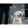 Hundkoppel läder Retriever 160 cm – Maul Ledermanufaktur