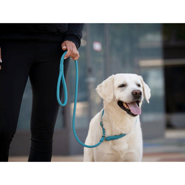 Hundkoppel läder Retriever 160 cm – Maul Ledermanufaktur