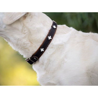 Hundhalsband läder halvstryp – Maul Ledermanufaktur