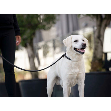 Hundkoppel läder Retriever 160 cm – Maul Ledermanufaktur
