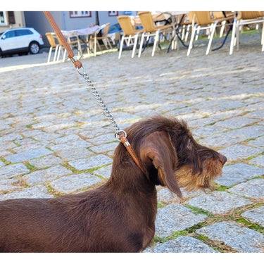 Rundsytt läderhundkoppel med kedja för utställning – Maul Ledermanufaktur