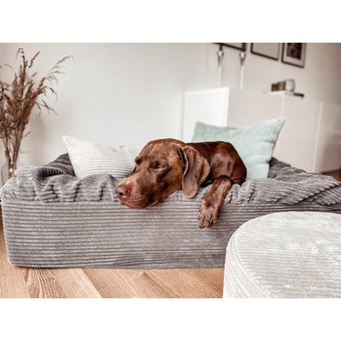 Hundbädd Buddelbox® Cord – Maul Ledermanufaktur