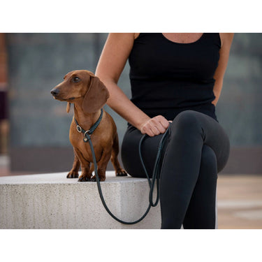 Hundkoppel läder Retriever 160 cm – Maul Ledermanufaktur