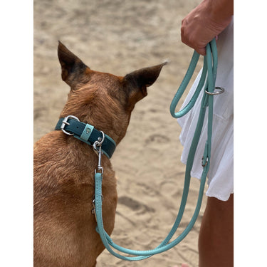 Hundhalsband läder Honolulu – Maul Ledermanufaktur