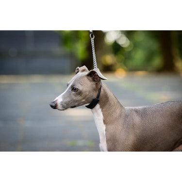 Hundkoppel läder Utställning Tunn – Maul Ledermanufaktur