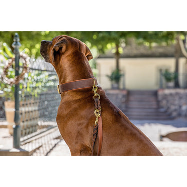 Hundkoppel läder Klassik Premium 300 cm – Maul Ledermanufaktur