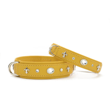 Hundhalsband läder Diamond – Maul Ledermanufaktur