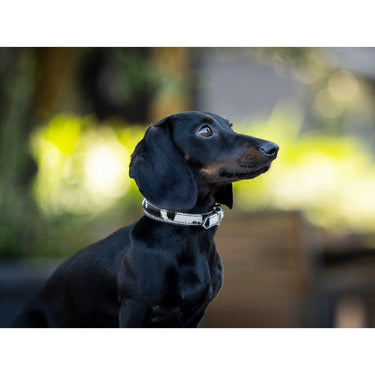 Hundhalsband läder Mini Kuhfell för små hundar – Maul Ledermanufaktur