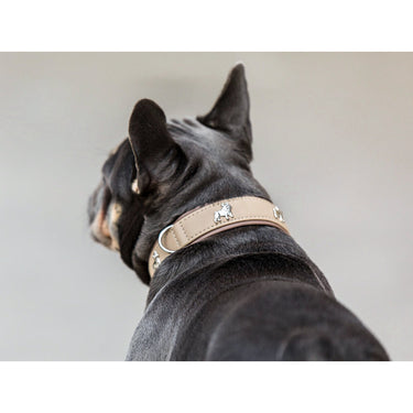 Hundhalsband läder – Maul Ledermanufaktur