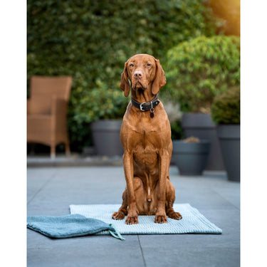 Hundfilt i Corduroy – Mjuk och robust resedecke – Maul Ledermanufaktur