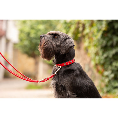Hundhalsband läder Herzilein – Rött Nappaläder med Edelweiss – Maul Ledermanufaktur