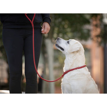 Hundkoppel läder Retriever 160 cm – Maul Ledermanufaktur