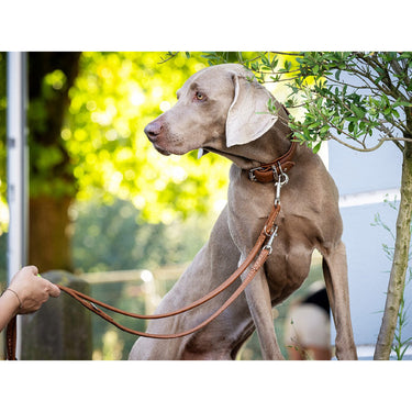Hundkoppel läder Rundsytt 300 cm – Maul Ledermanufaktur