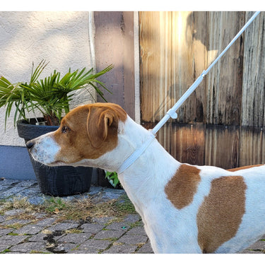 Läderhundkoppel Showleine Fein – Maul Ledermanufaktur
