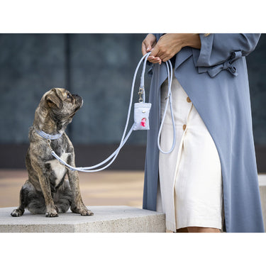 Hundhalsband läder Mini Sunrise – Maul Ledermanufaktur