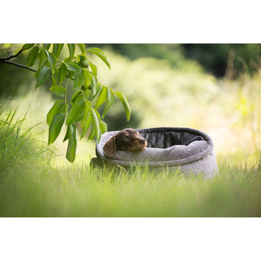 Hundkorg Catty Caro 50 cm – Maul Ledermanufaktur