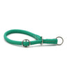 Hundhalsband läder Holi Color – Maul Ledermanufaktur