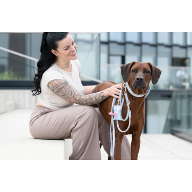 Hundhalsband läder Sunrise – Maul Ledermanufaktur
